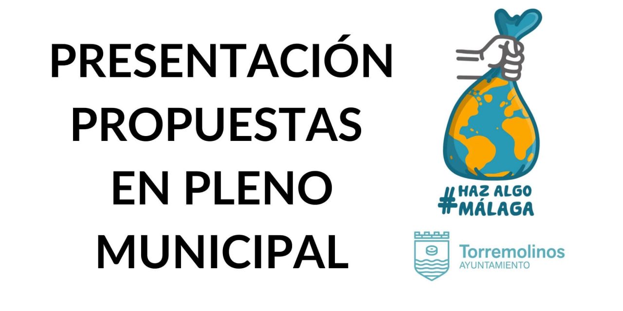 Participación en el Pleno Municipal de Torremolinos