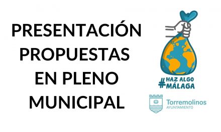 Participación en el Pleno Municipal de Torremolinos